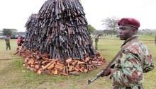 2500 illegal weapons being destroyed, a fraction of the estimated 100,000 in circulation